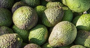 hoe gezond is avocado