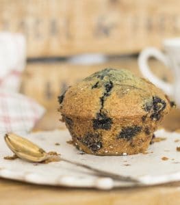 muffin met blauwe bessen