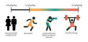 hoeveel eiwitten per dag (1)