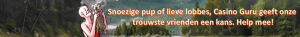 alttagrinze